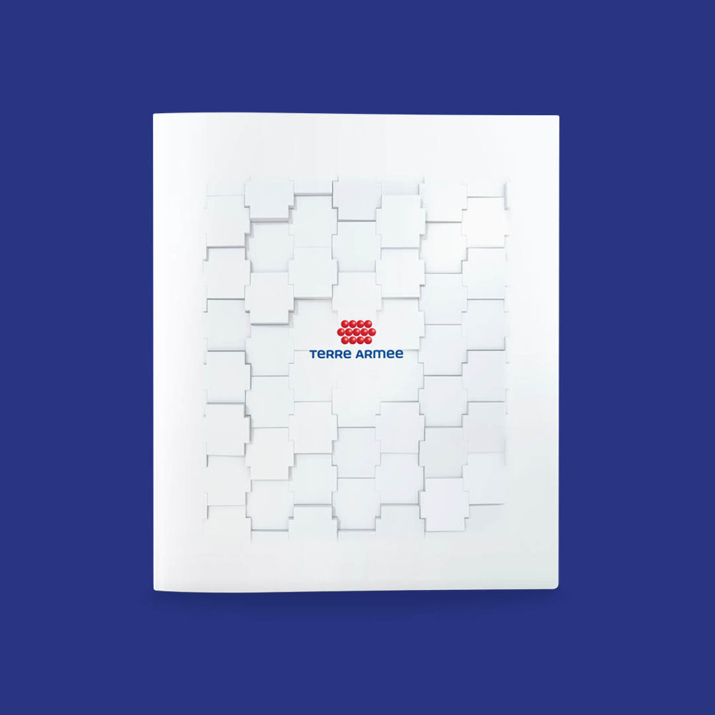 Photo sur fond bleu d’une brochure fermée dans un format proche du carré, sur la couverture, le logo et le paterne de Terre armée, une marque de Soletanche Freyssinet.