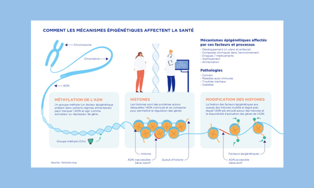Schéma de vulgarisation scientifique consacrée aux mécanismes épigénétiques. Lagence réalise un ensemble de data visualisations avec pour ligne directrice le brin d'ADN.