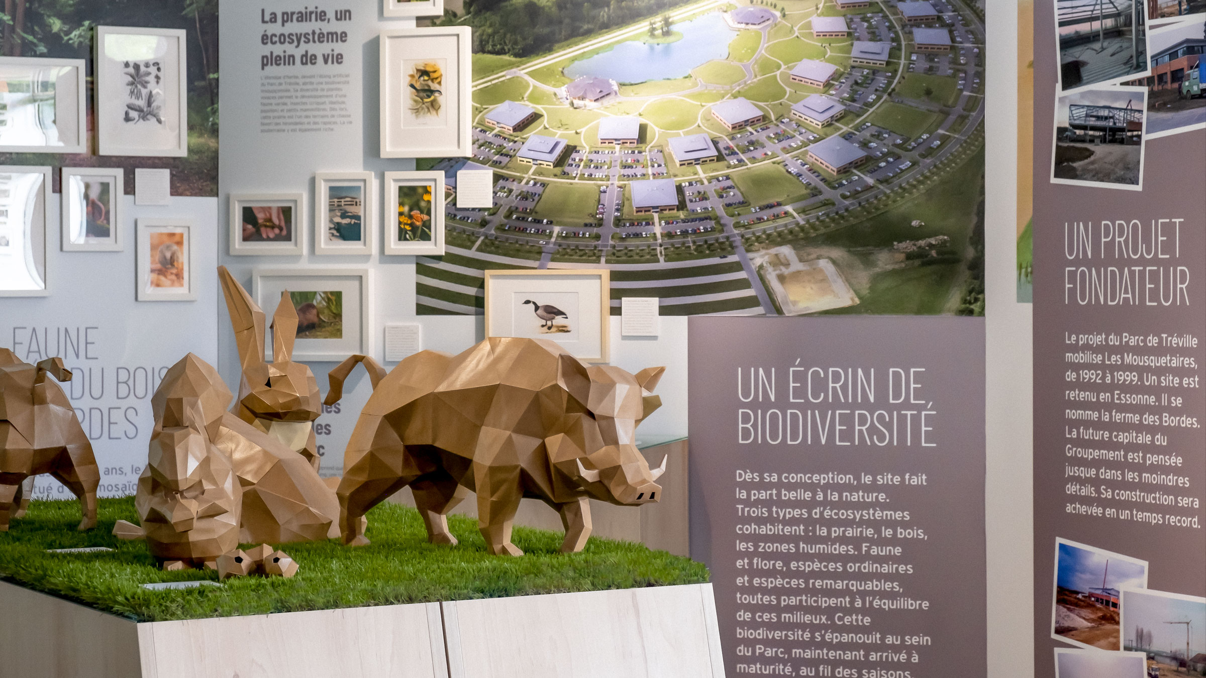 Vue de l’exposition temporaire consacrée au Parc de Tréville, le siège des Mousquetaires. Au premier plan, un écureuil, une grenouille, un lapin et un sanglier en paper craft.